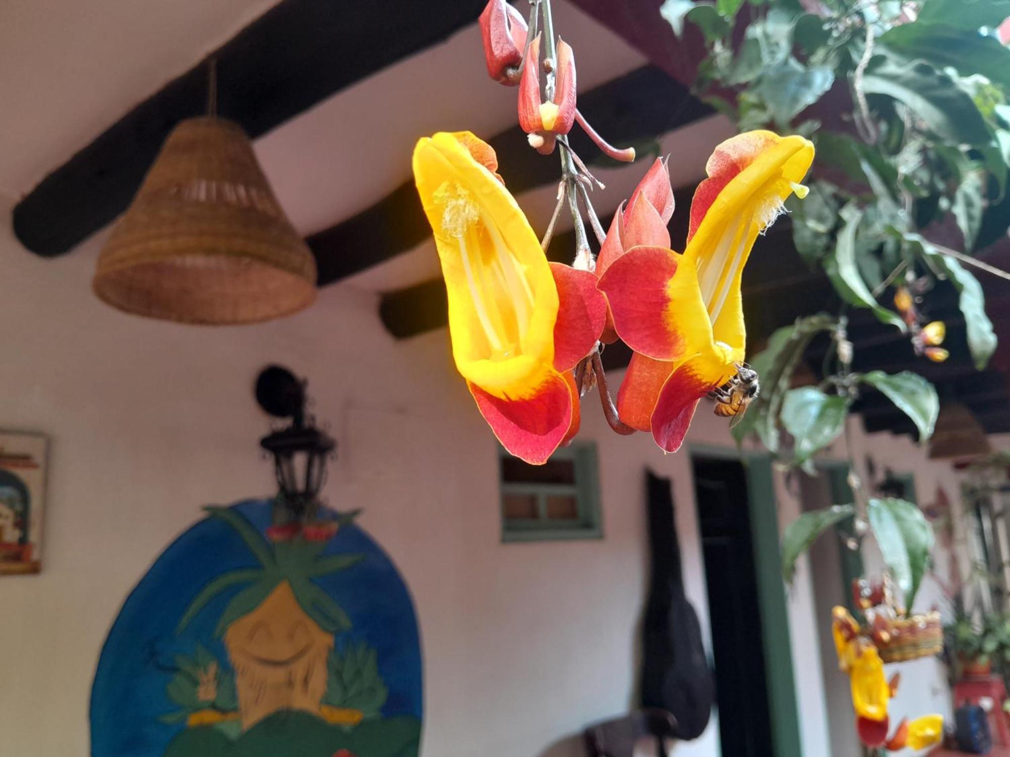 Beija Flor Hostel Villa de Leyva Buitenkant foto